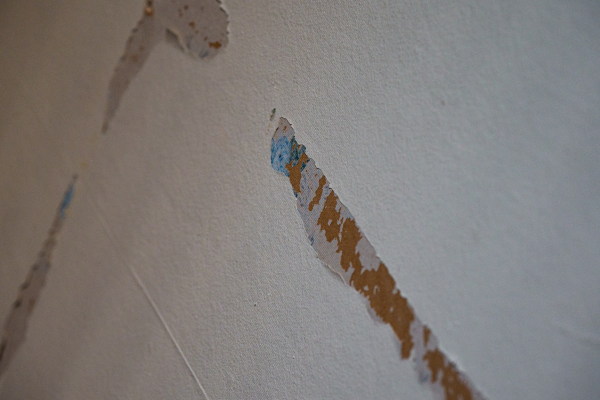 Flood Cleanup service in San Mateo, CA